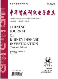 中华肾病研究电子
